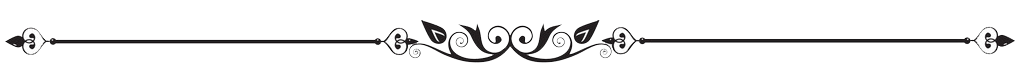 dgfsgs.com